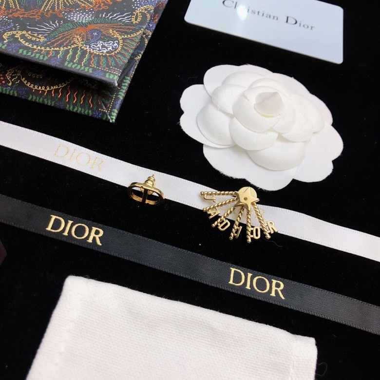 Christian Dior Earrings